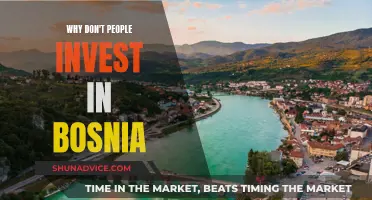 Bosnian Investment: Unlocking the Mystery