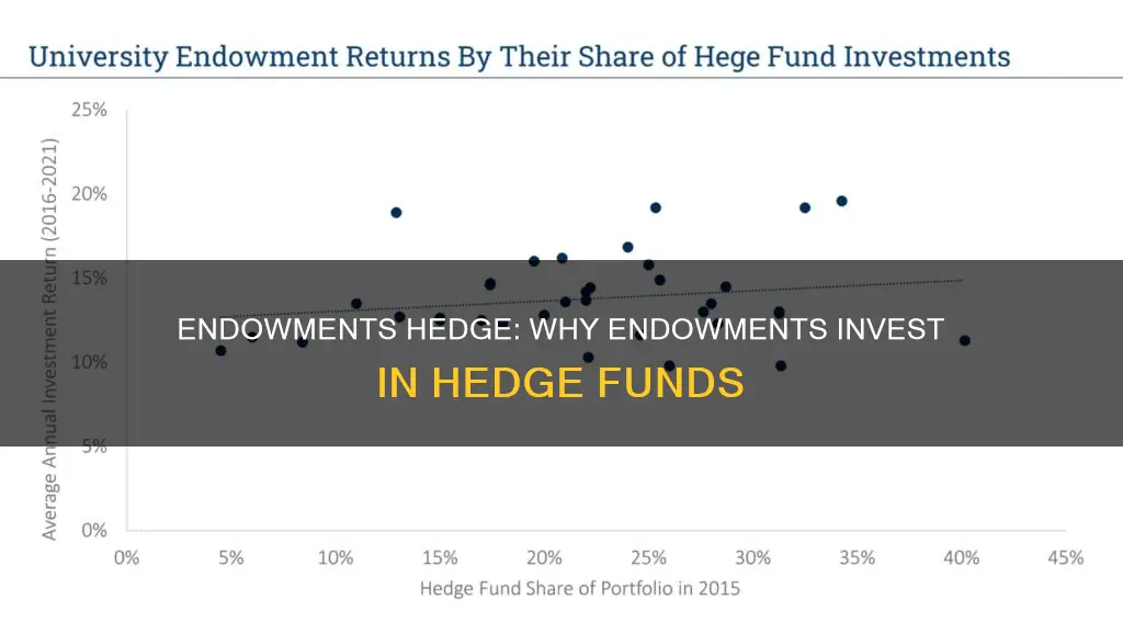 why endowment invest in hedge funds