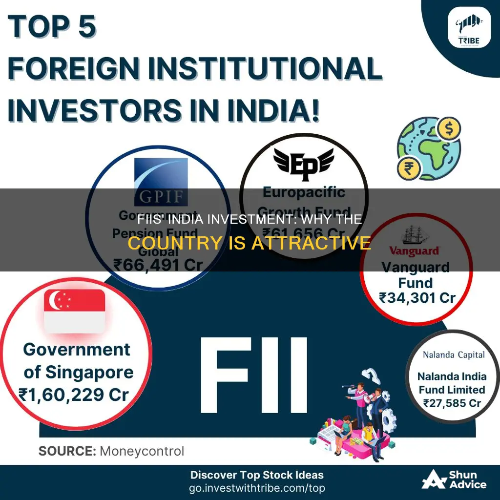 why fiis invest in india