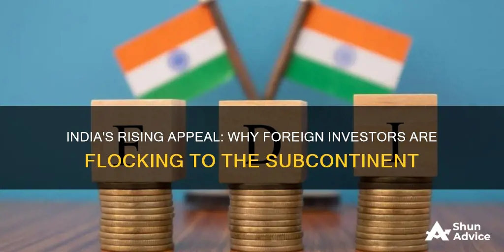 why foreign countries are investing in india