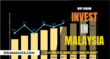 Unlocking Opportunities: Why Foreign Investors Choose Malaysia