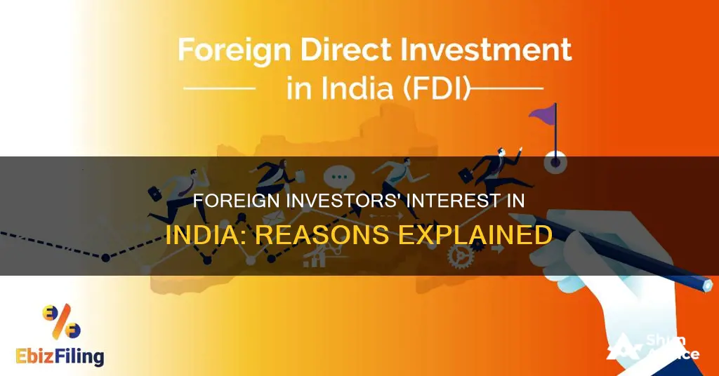 why foreign investors invest in india