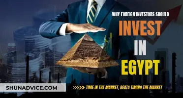 Egypt's Vibrant Economy: Why Foreign Investors Should Invest Now