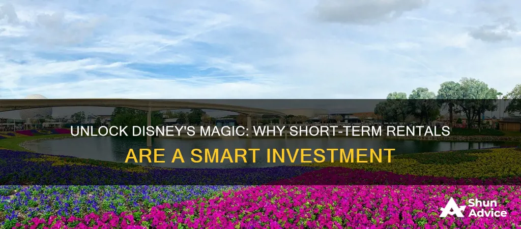 why I should invest into short term rentals by disney