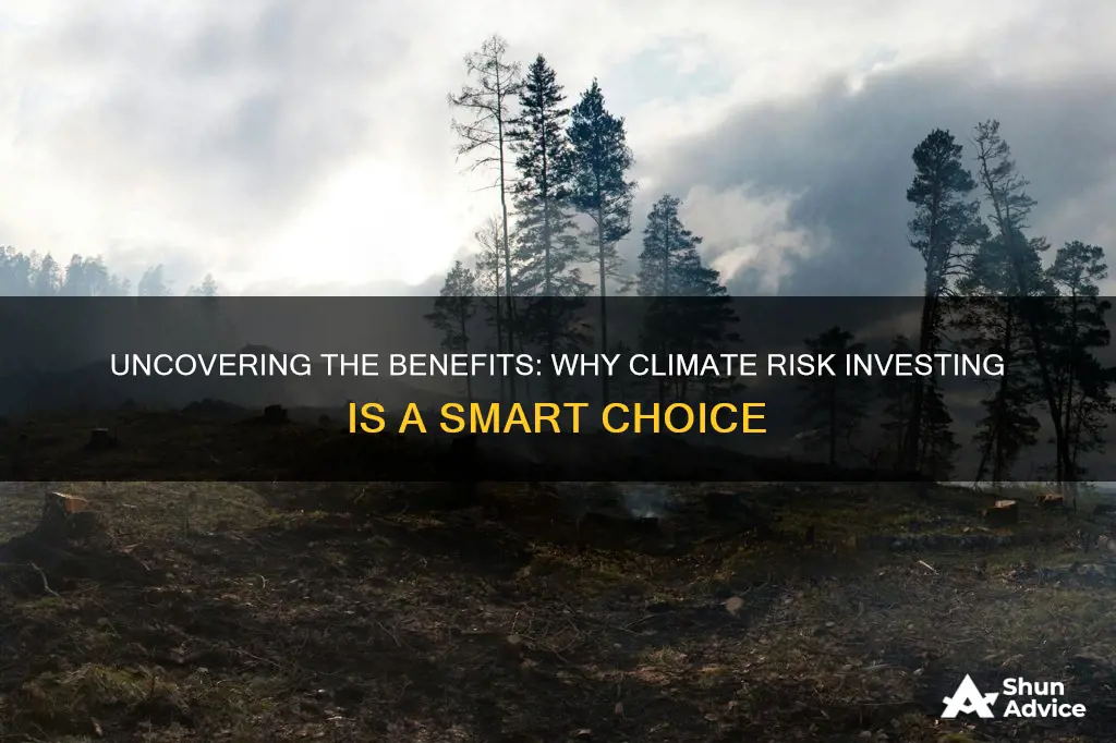 why invest climate risk