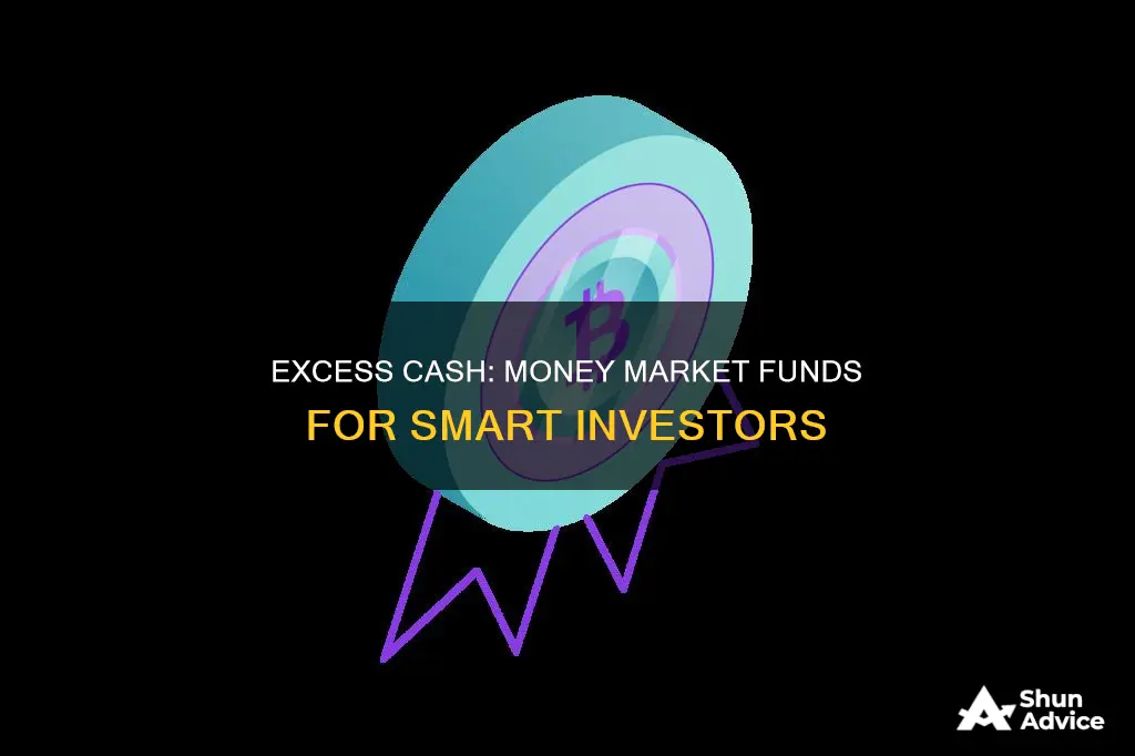 why invest excess cash in money market funds