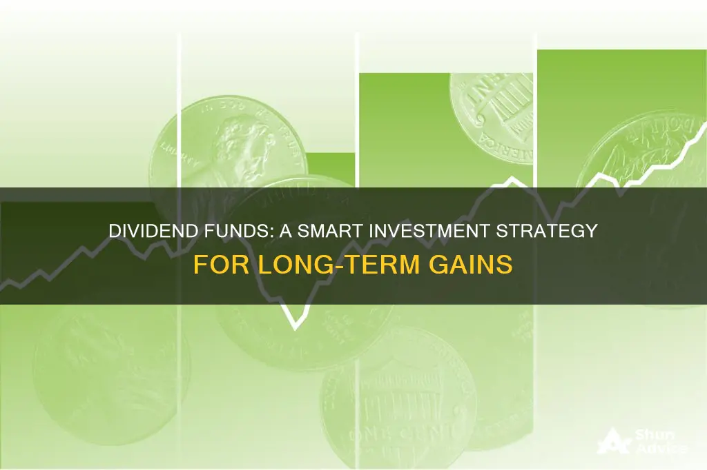 why invest in a dividend fund