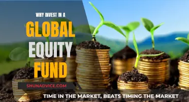 Global Equity Funds: Diversification and Growth Opportunities