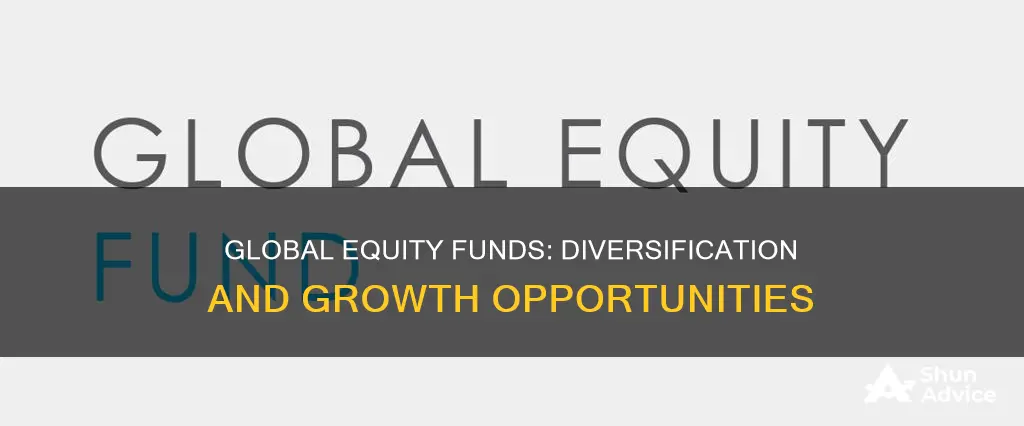 why invest in a global equity fund