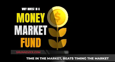 Money Market Funds: Secure, Liquid, and Profitable Investments