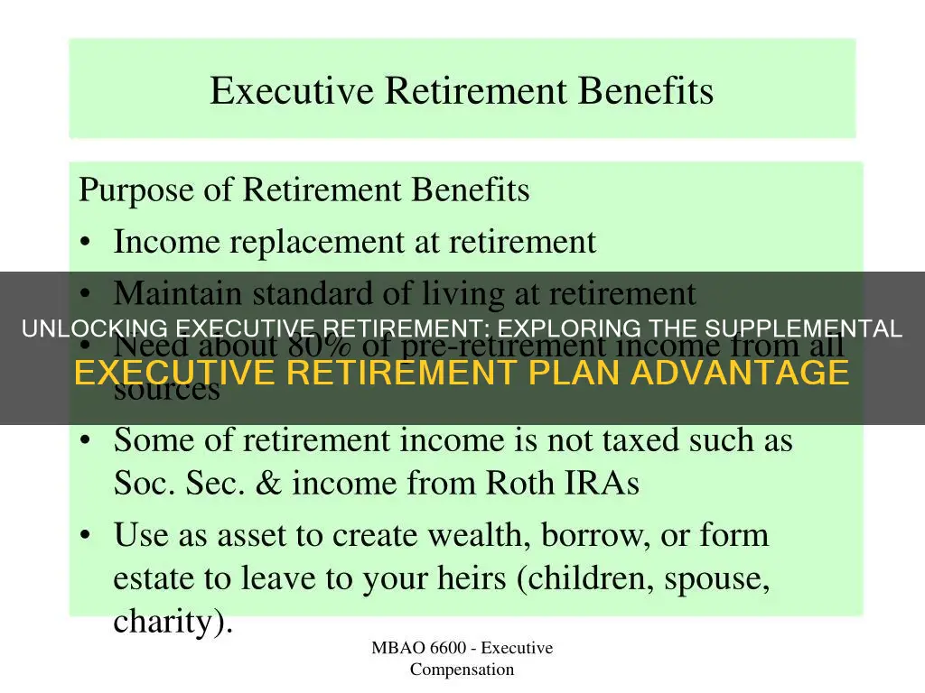 why invest in a supplemental executive retirement plan