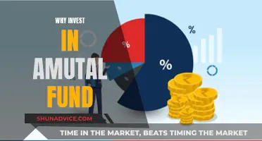 Mutual Fund Investment: Benefits and Your Financial Growth