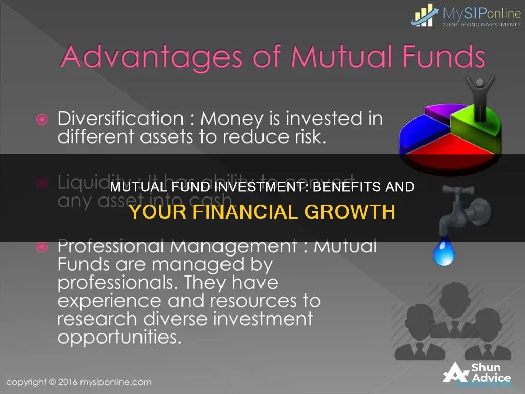 why invest in amutal fund