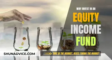 Equity Income Funds: Smart Investment for Steady Returns