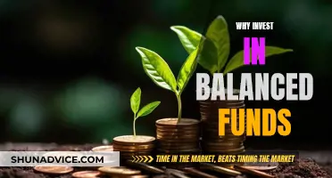 Balanced Funds: Diversified, Stable, and Smart Investment Strategy