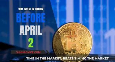 Last Chance to Invest in Bitcoin Before April 2