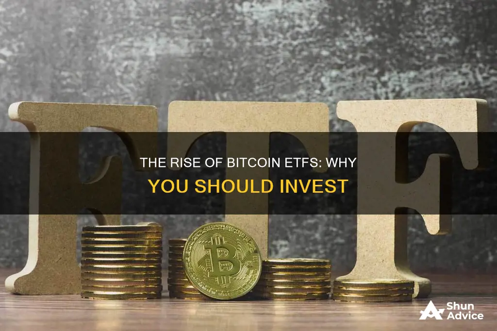 why invest in bitcoin etf