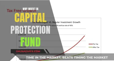 Capital Protection Funds: Secure Your Investments