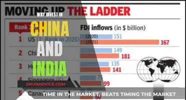 The Eastern Promise: Investing in China and India's Future