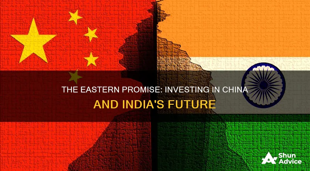 why invest in china and india