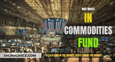 Investing in Commodities: A Smart Fund Move?