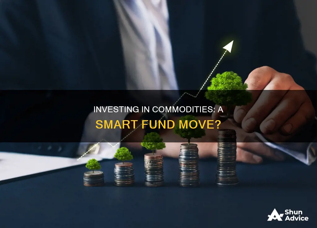 why invest in commodities fund