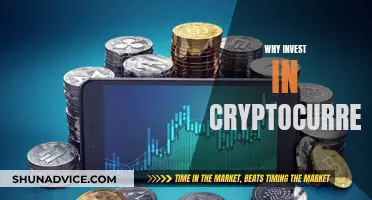 Cryptocurrency: A Smart Investment for Your Money Now