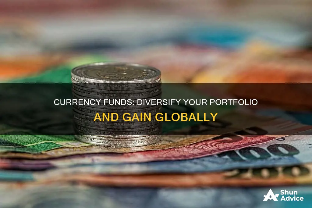 why invest in currency funds