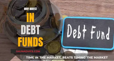 Debt Funds: A Smart Investment for Your Money