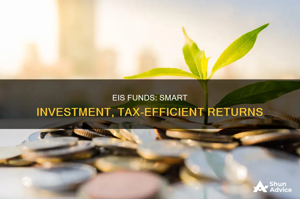 why invest in eis funds