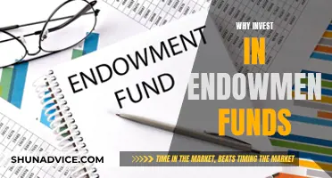 Endowment Funds: A Smart Investment for Your Future