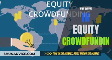 Crowdfunding's Future: Equity Investment Benefits for Entrepreneurs