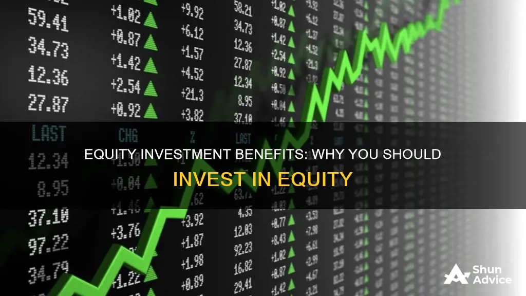 why invest in equity ppt