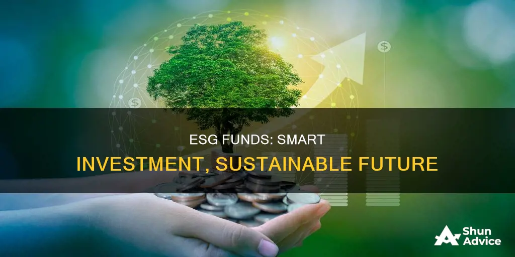 why invest in esg funds