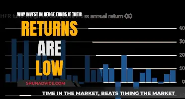 Hedge Funds: Low Returns, High Investment?