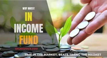 Income Funds: Diversify Your Portfolio and Grow Your Money