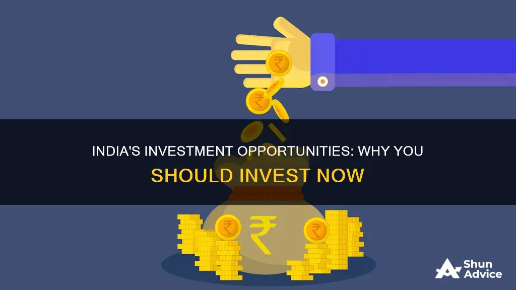 why invest in india ppt