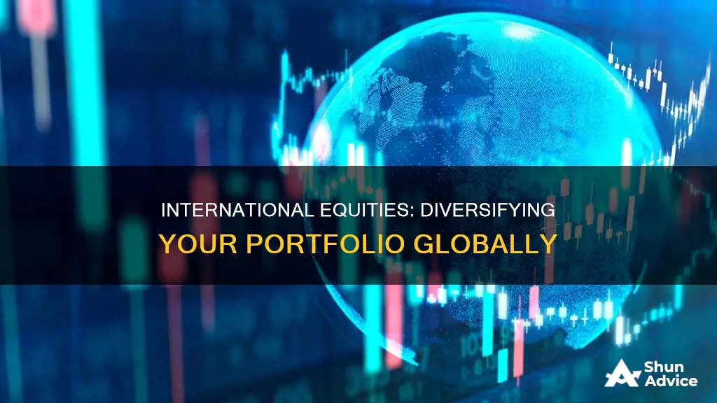 why invest in international equities