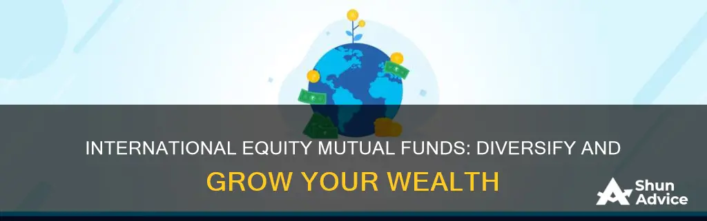 why invest in international equity mutual funds