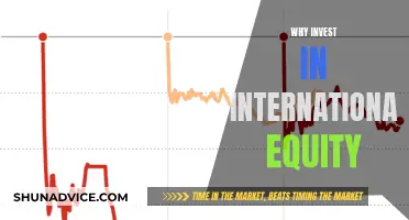 International Equity: Diversify Your Portfolio, Grow Your Wealth