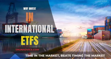 International ETFs: Diversify Your Portfolio, Access Global Markets