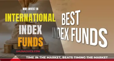 International Index Funds: Diversify Your Portfolio, Maximize Returns