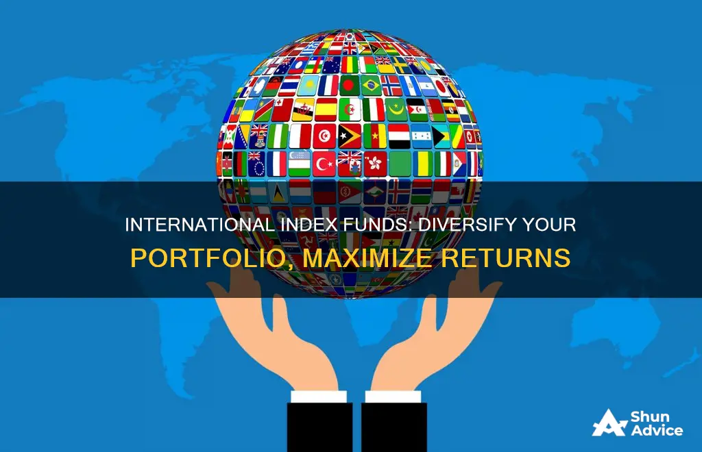 why invest in international index funds