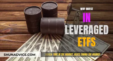 Leveraged ETFs: Maximizing Returns, Minimizing Risk