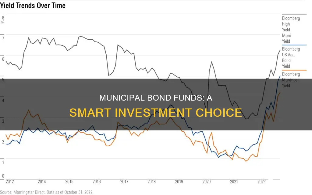 why invest in municipal bond funds