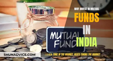 Mutual Funds: India's Smart Investment Choice