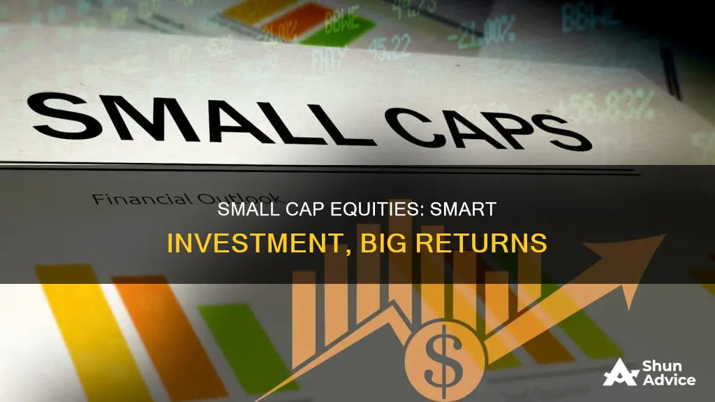 why invest in small cap equities