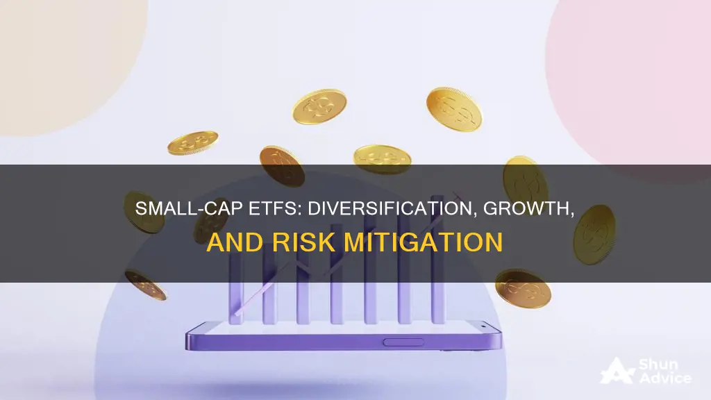 why invest in small cap etf