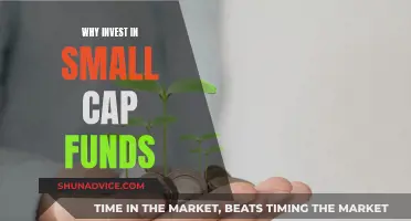 Small-Cap Funds: Smart Investment, Big Returns