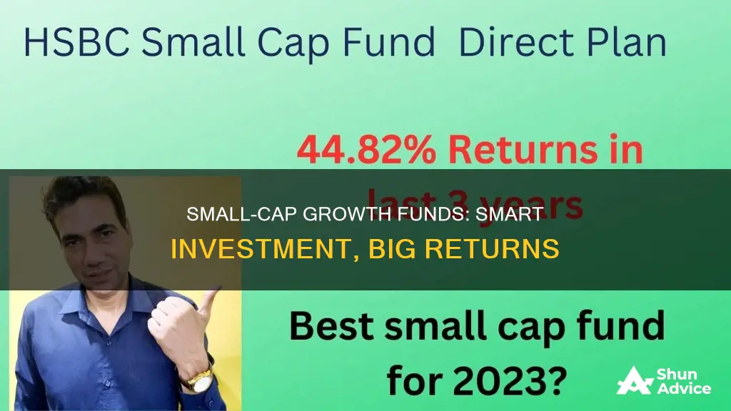 why invest in small cap growth fund